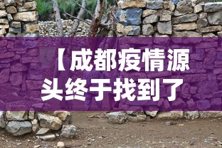 我来告诉你“大唐麻将打牌规律”详细辅助教程分享