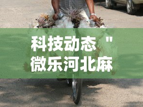 【手机麻将挂】家乡大贰有透视挂吗”开挂辅助软件教程