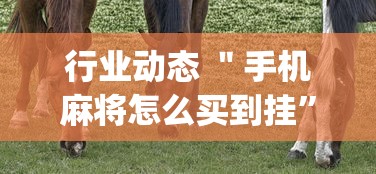行业动态 ＂手机麻将怎么买到挂”开挂(透视)辅助神器