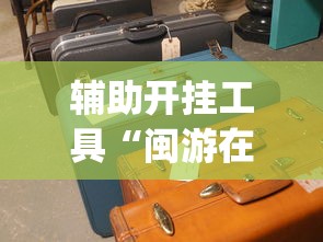 辅助开挂工具“闽游在线开挂辅助器”(太坑了果然有挂)