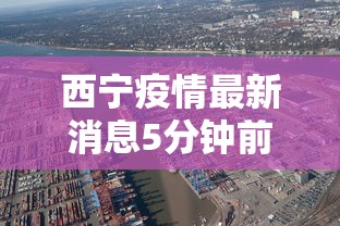 功能揭秘 ＂新道游有没有开挂	”(原来确实是有插件)