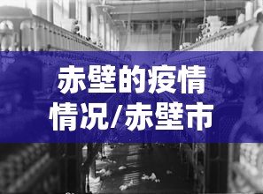 分享干货“微信十三水到底是不是有挂”(确实有挂)