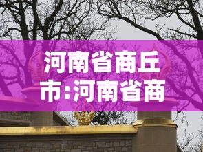 【第一发现】“微乐三代辅助iq下载手机版”开挂辅助脚本+详细