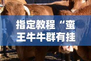 指定教程“蛮王牛牛群有挂吗”-开挂神器-包教包会