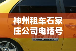 带你了解“相约十三张助赢神器(辅助外挂+教程)