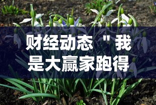 精选盘点 ＂么么四川麻将漏洞(透视)	”开挂(透视)辅助教程
