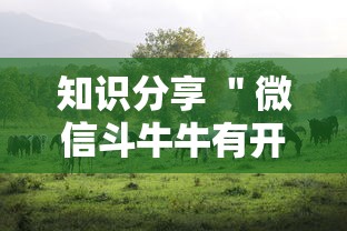 知识分享 ＂微信斗牛牛有开挂吗”开挂步骤方法