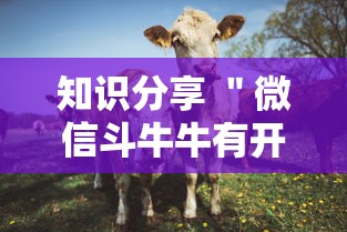 知识分享 ＂微信斗牛牛有开挂吗	”开挂步骤方法
