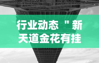 行业动态 ＂新天道金花有挂吗(透视)”开挂辅助详细步骤