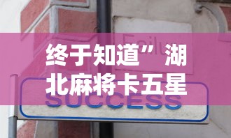 终于知道	”湖北麻将卡五星规则方法技巧”-开挂神器-包教包会
