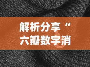 解析分享“六瓣数字消怎么装挂	”(原来确实是有插件)