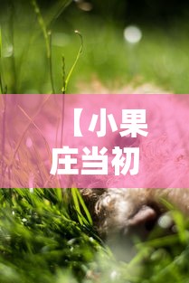 反复测试 ＂哈灵麻将外卦神器”科技辅助神器手机版教程