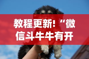 教程更新!“微信斗牛牛有开挂吗[分享装挂详细步骤]